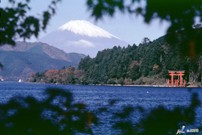 Lake Ashino ko web