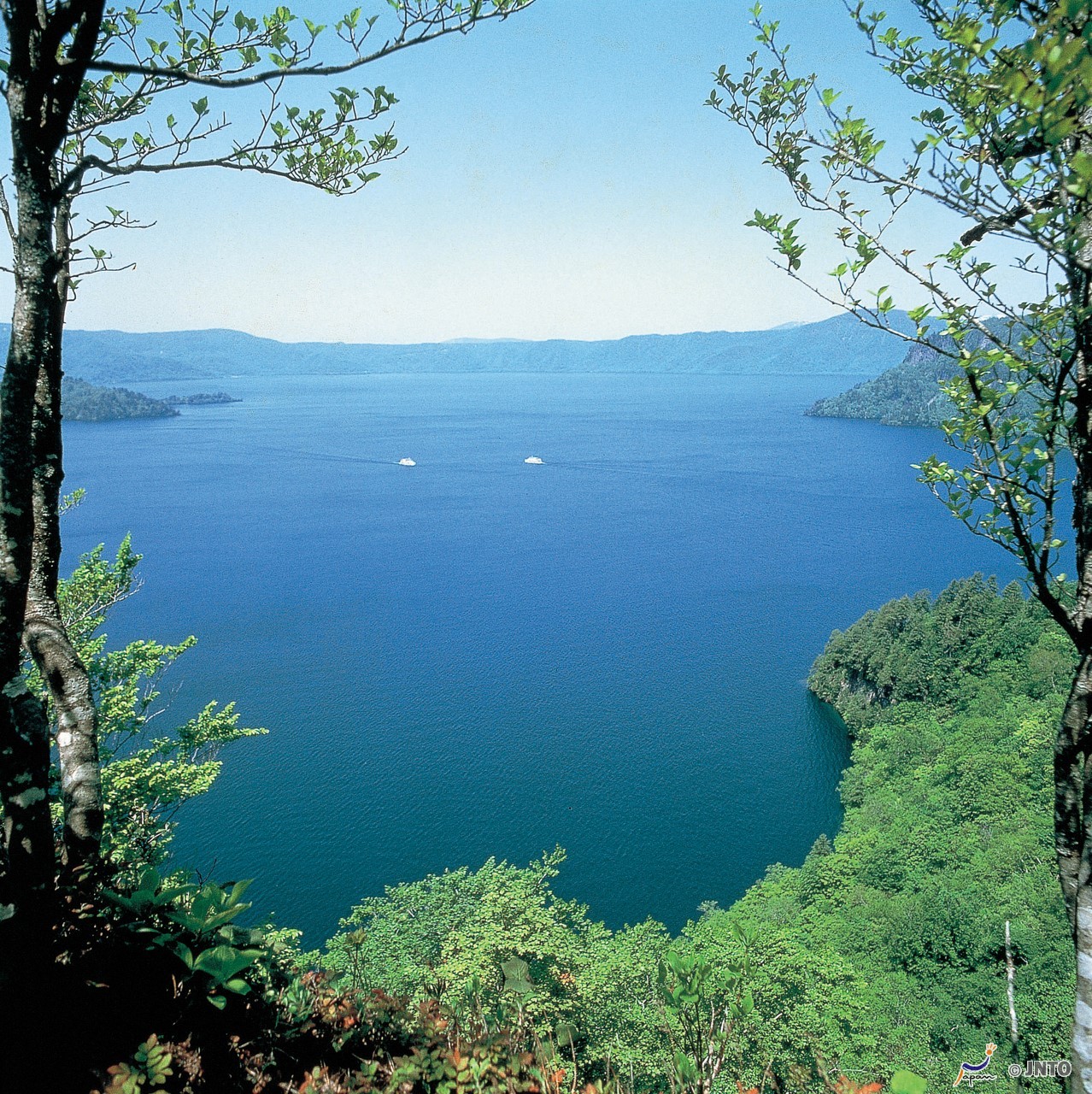 Lake Towada Spring